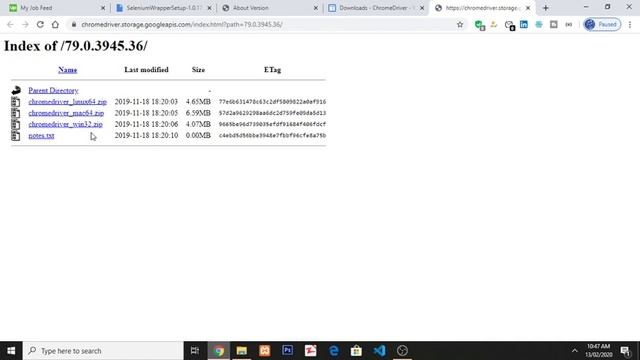 Set_Up Part_3 Install Selenium and Download ChromeDriver смотреть онлайн