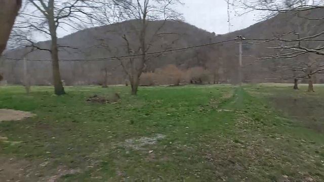 01.03.2022. С ДНЕМ КОТОВ. С ДНЕМ ВЕСНЫ. АРХИПО-ОСИПОВКА ул. Вишневая, аллея, море, бетонный мост смотреть онлайн