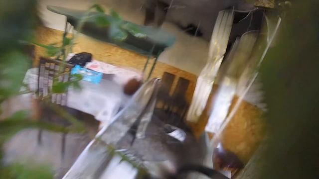 Пожар. Остановили переход огня на дом. Russian firefighters. смотреть онлайн