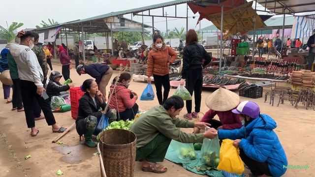 Harvest guava, papaya,in the garden,bring it to the district market to sell,Build daily life смотреть онлайн