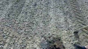 Коп металлолома. Коп металла на месте старой бригады. Коп с md 4090