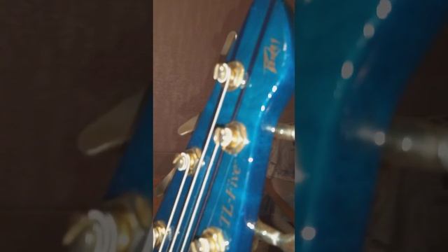 Peavey TL-5 смотреть онлайн