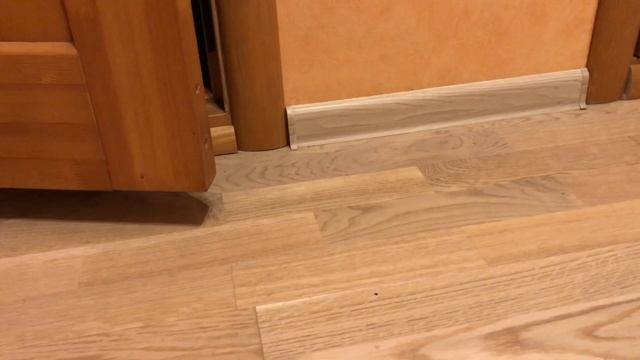 Знакомство крыс с увлажнителем воздуха)) смотреть онлайн