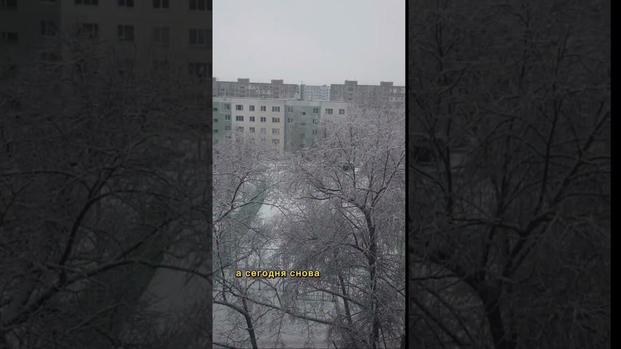 Деревья нарядились по-новогоднему смотреть онлайн