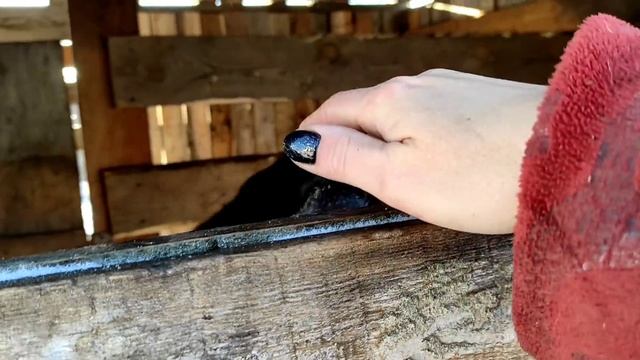 Был мороз.Коз на улицу.Ещё один.Козёл сошёл с ума.Алтая нужно убрать смотреть онлайн