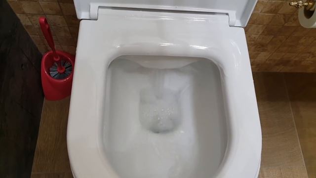 Учитесь как правильно мыть унитаз...хозяйки смотреть онлайн