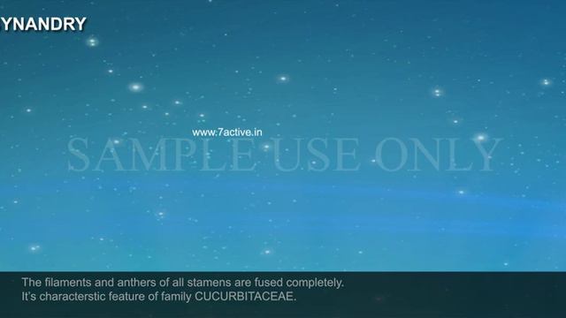 UNION OF STAMENS смотреть онлайн