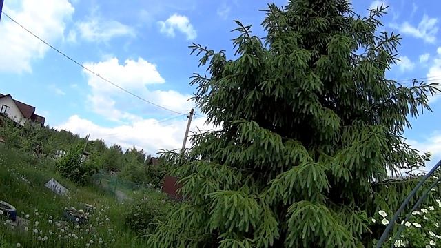 ДАЧА СВОИМИ РУКАМИ I Первый покос газона