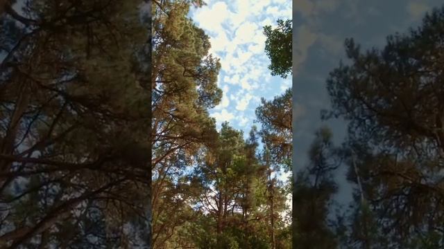 Спокойная Расслабляющая музыка #1 Снимаем стресс, фоновая музыка. смотреть онлайн