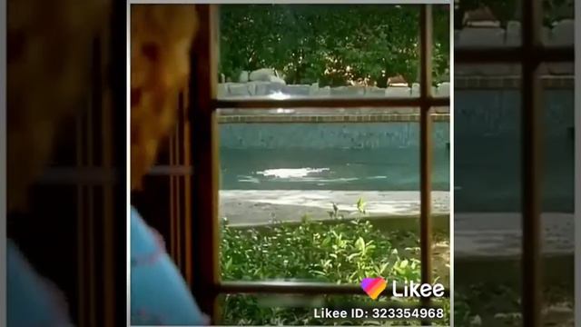 Собака спасла девочку,а тётя и мама этого не видели...