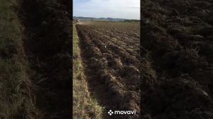 Пахота на т150 +интересная находка