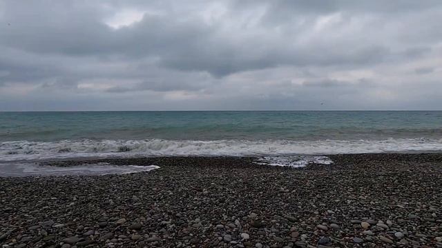 А на небе тучи! Колосится капуста и +11!?ЛАЗАРЕВСКОЕ СЕГОДНЯ?СОЧИ. смотреть онлайн