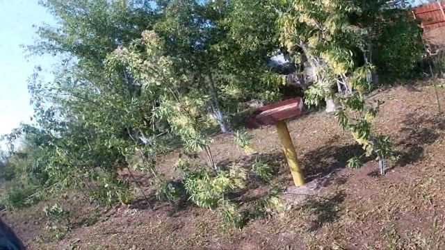 Сделал ток у дома смотреть онлайн