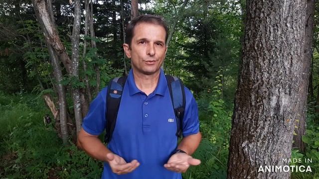 Deaf Holzak Малайский шерстокрыл смотреть онлайн