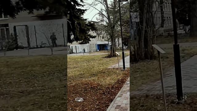 Привет от д.Федора. Ночка и мини-прогулки. Боцик на уроке хождения на поводке. Белая киска ищет дом смотреть онлайн
