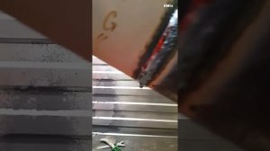 Аттестация на НАКС (нгдо)