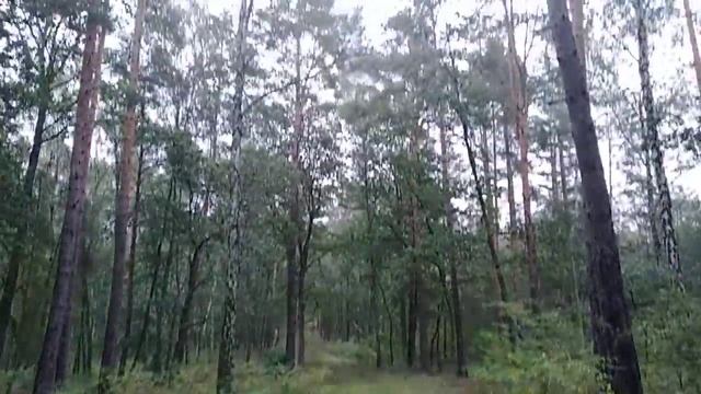 Потсдам. Телевышка Западного Берлина. Я её нашёл! смотреть онлайн