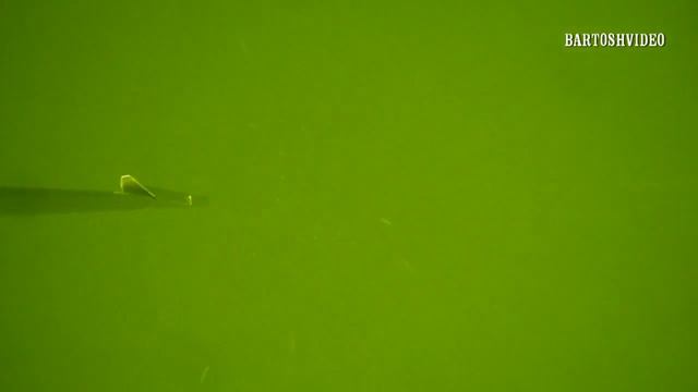 Подводная охота Лето-осень2012г_ч.3. Spearfishing