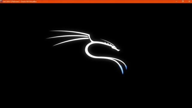 KALI LINUX 2020.2 Установка .Решение проблем с установкой смотреть онлайн
