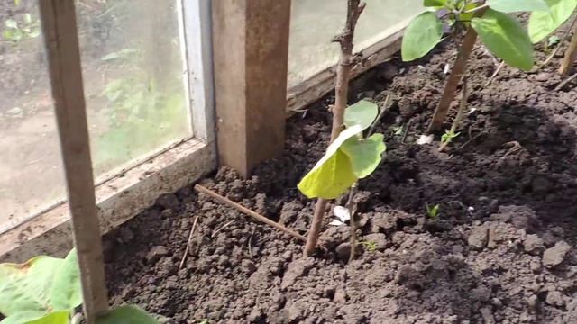 Строительные Рецепты