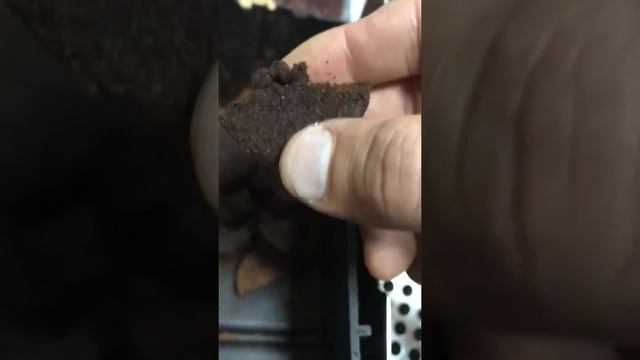 Правильная кофейная таблетка смотреть онлайн