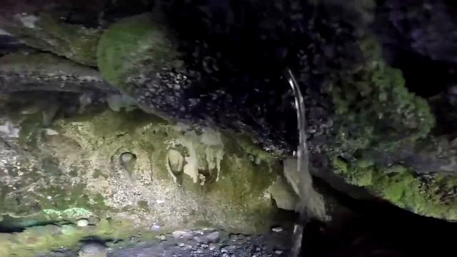 Узбекистана : Чимган, Козлиное ущелье, Шаршара I Uzbekistan: Chimgan, Goat gorge, Sharshara смотреть онлайн