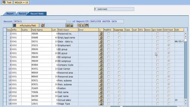 SAP HR Payroll reports and interfaces without ABAP programming or Microsoft Excel смотреть онлайн