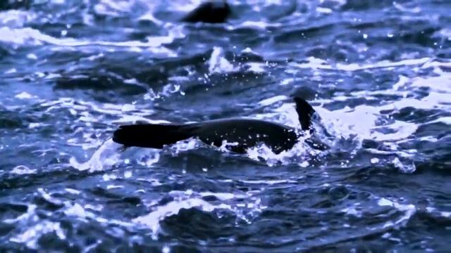 ВАНТУЗ - Я ВЕРНУЛСЯ.mp4 смотреть онлайн