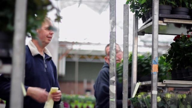 Nolina смотреть онлайн