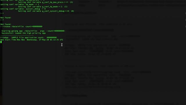 Golang In Ring-0 смотреть онлайн