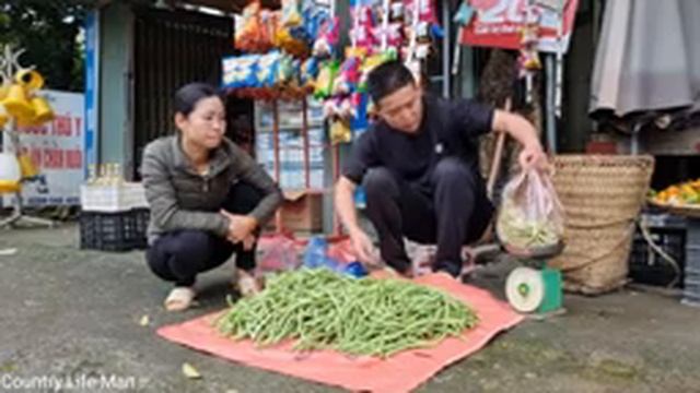 Harvesting Green Bean Garden goes to the market sell, Daily Life | Country Life - Man смотреть онлайн