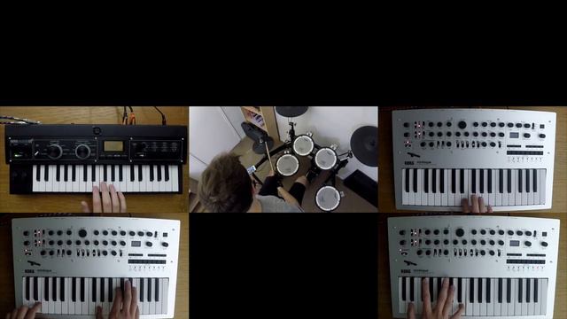 🍌Fear Factory - Donkey Kong Country (cover remake on KORG minilogue and microKORG XL+) смотреть онлайн