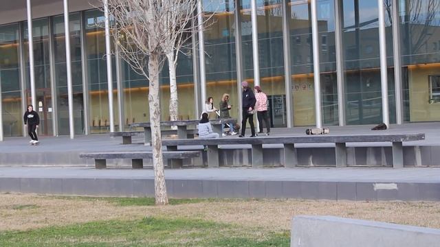 LVO in BCN смотреть онлайн