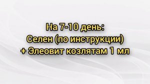 Какие витамины и когда колоть беременной козе, козлятам, козлам. Нехватка меди у козы. Глистогонка.