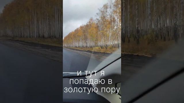 Возвращение домой.Крым-Благовещенск день 3.Саратовская область - Курганская область.19 октября 2022 смотреть онлайн