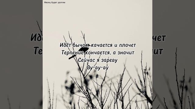 Palina-Месяц будет долгим (Lyrics)