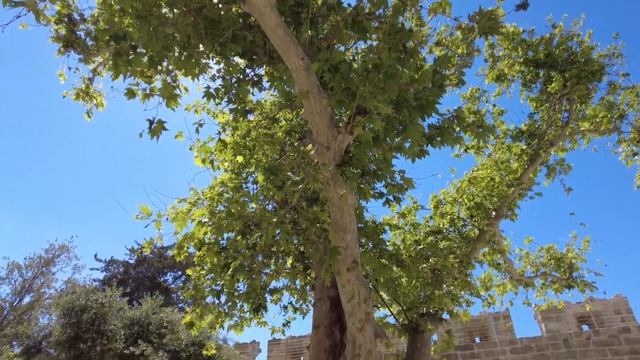 Bodrum City Center June 2021 Walking Tour// Центр Бодрума с картой смотреть онлайн