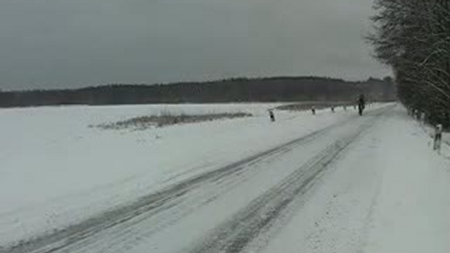 Каменюки беловежа 2011