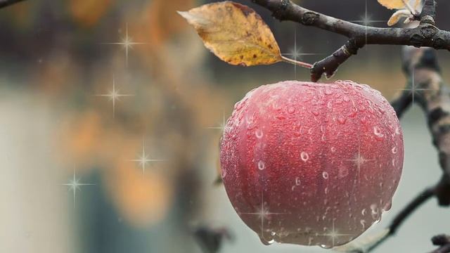 Как осенью поднять себе настроение волшебные способы смотреть онлайн