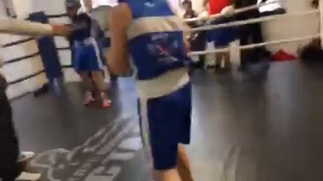 Сер-чемпион смотреть онлайн