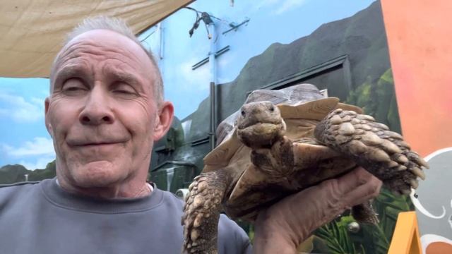Protect your Tortoise from Cold ? Weather NOW! смотреть онлайн