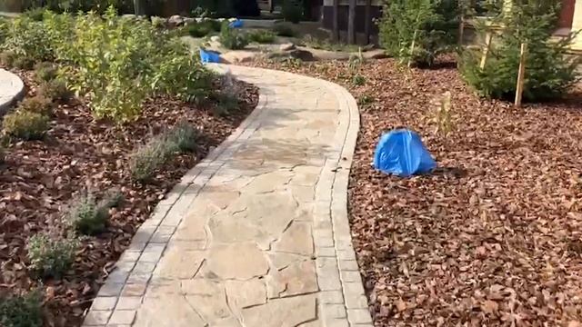 Посадка луковичных в цветники смотреть онлайн