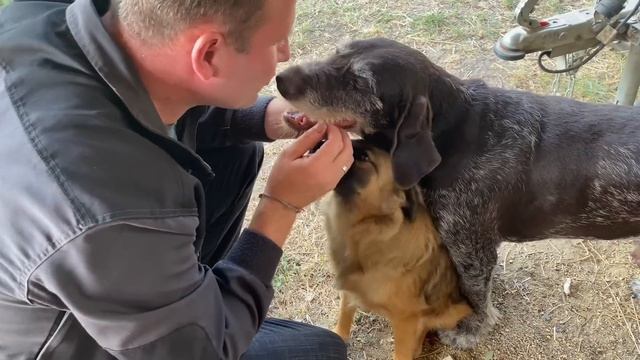 547❤️Дом на юге. Все бы хорошо, но Фрейллин сдаёт, может жара. Рецепт манника в описании под ролико смотреть онлайн