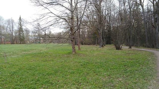 парк СЕРГИЕВКА #ресурсные_прогулки_да