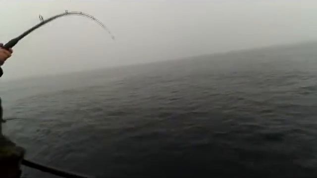Рыбалка на Баренцевом море. Май 2016. Ура-Губа, Мурманск. Ловля трески, зубатки. смотреть онлайн