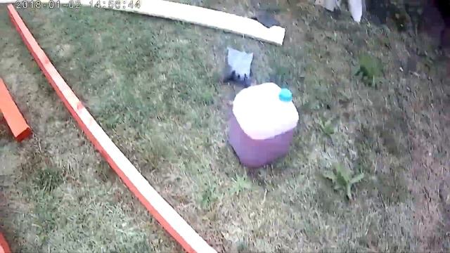 ЛЕСТНИЦА ЧУДЕСТНИЦА смотреть онлайн