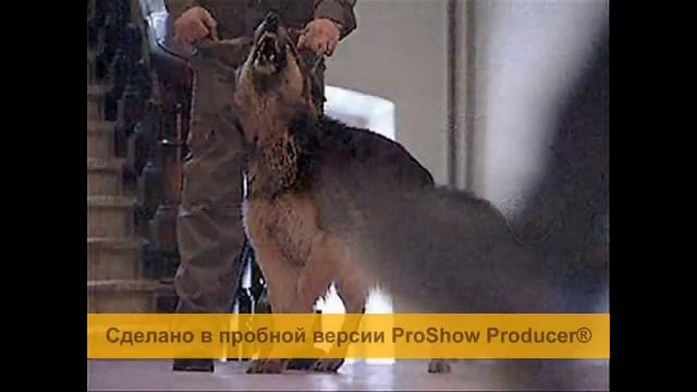 гр Пятилетка Уже неделю отсидел 2 смотреть онлайн