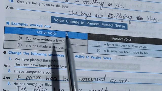 Voice change present perfect tense || Duff and dutt grammar question bunch class 10 page- 19 || смотреть онлайн