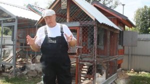 ДРОЖЖЕВАНИЕ КОРМА  КУРАМ НЕСУШКАМ.