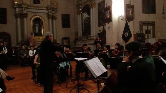 Torelli Concierto para Orquesta Op. 6 No 10 смотреть онлайн